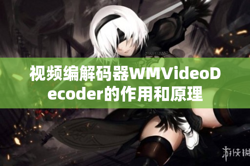 视频编解码器WMVideoDecoder的作用和原理