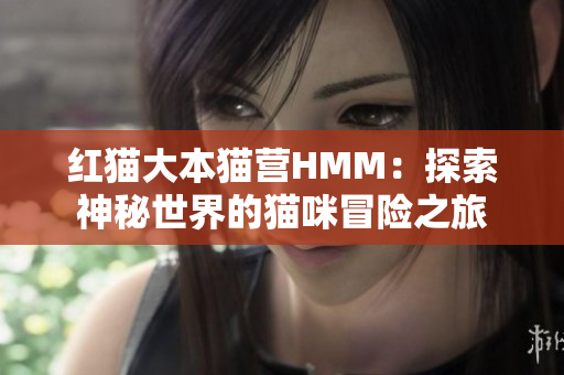 红猫大本猫营HMM：探索神秘世界的猫咪冒险之旅