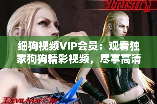 细狗视频VIP会员：观看独家狗狗精彩视频，尽享高清无广告体验