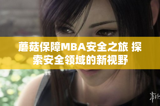 蘑菇保障MBA安全之旅 探索安全领域的新视野