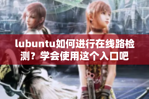 lubuntu如何进行在线路检测？学会使用这个入口吧