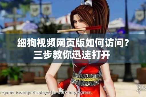 细狗视频网页版如何访问？三步教你迅速打开 