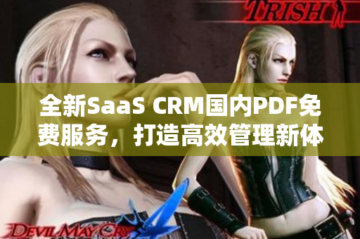 全新SaaS CRM国内PDF免费服务，打造高效管理新体验