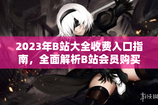 2023年B站大全收费入口指南，全面解析B站会员购买方式